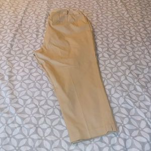 Lane Bryant Pants